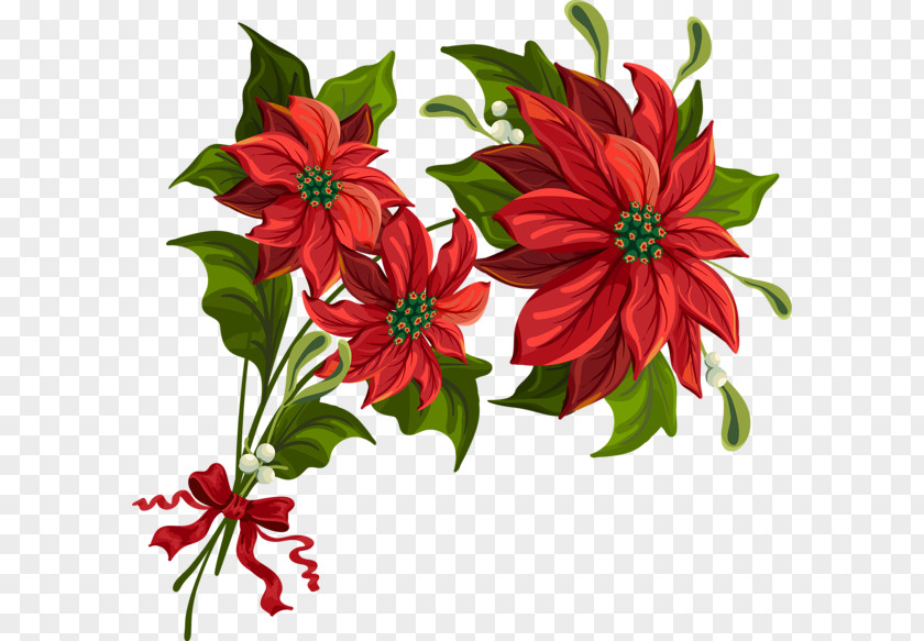 Christmas Flowers Poinsettia Art Clip PNG