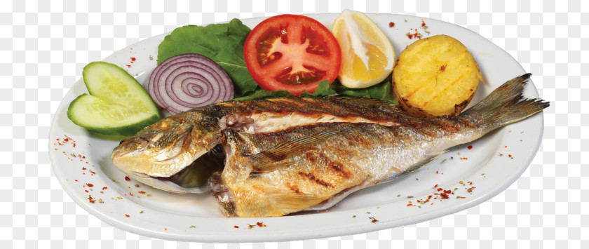 Fish Fried Squid As Food Gilt-head Bream Seafood PNG