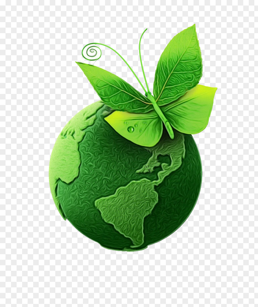 Herb Symbol Green Leaf Plant Logo PNG