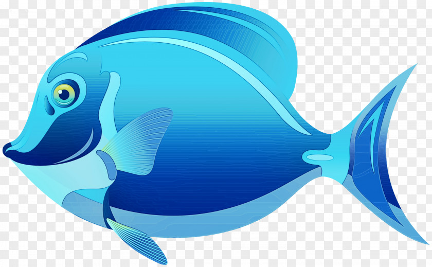Marine Mammal Aqua Dolphin Cartoon PNG
