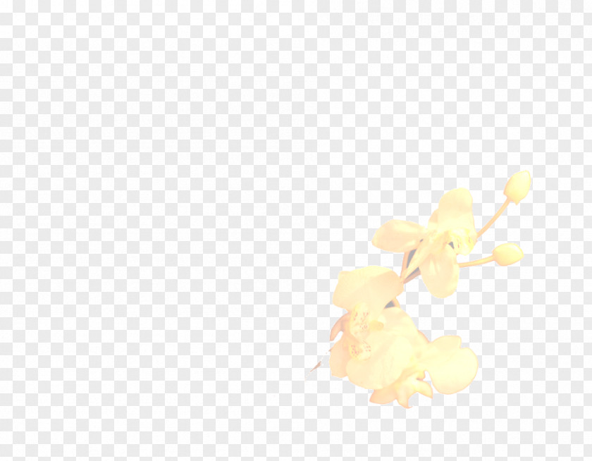 Relax Yellow Petal PNG