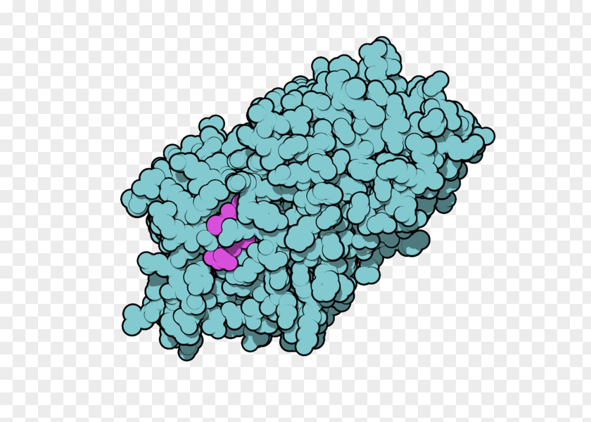 Thyroxine-binding Globulin Thyroid Hormones Chickenpox PNG