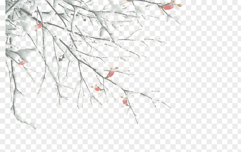 Winter Tree Branches Twig Branch PNG