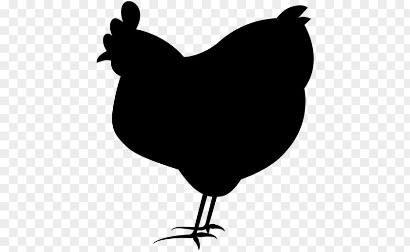 Chicken Plate Rooster Broiler Hatchery Clip Art PNG