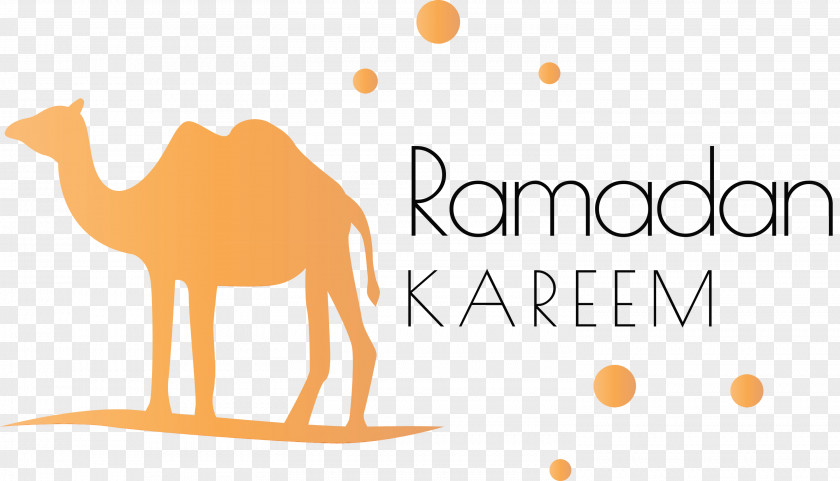 Dromedary Logo Font Line M PNG