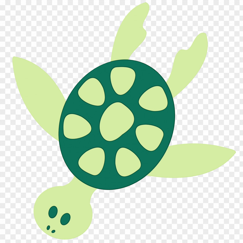 Tortoise Green Sea Turtle Yellow Clip Art PNG