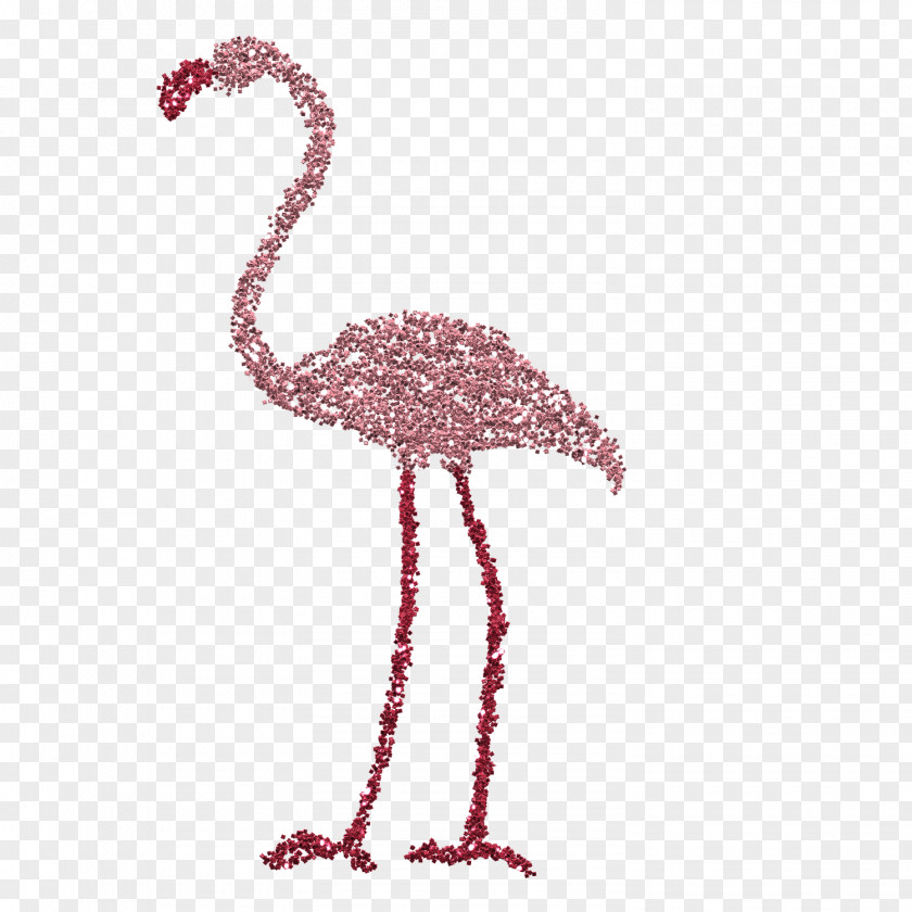 Flamingo Pink Glitter Vertebrate Bird PNG