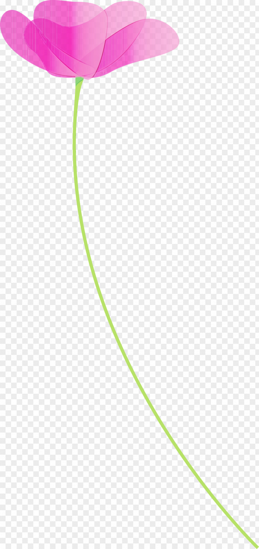 Green Line PNG