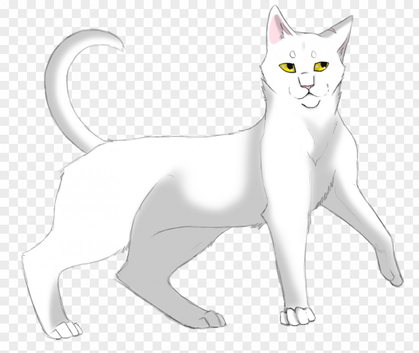 Lithe Cat Into The Wild Warriors Whitestorm Kitten PNG