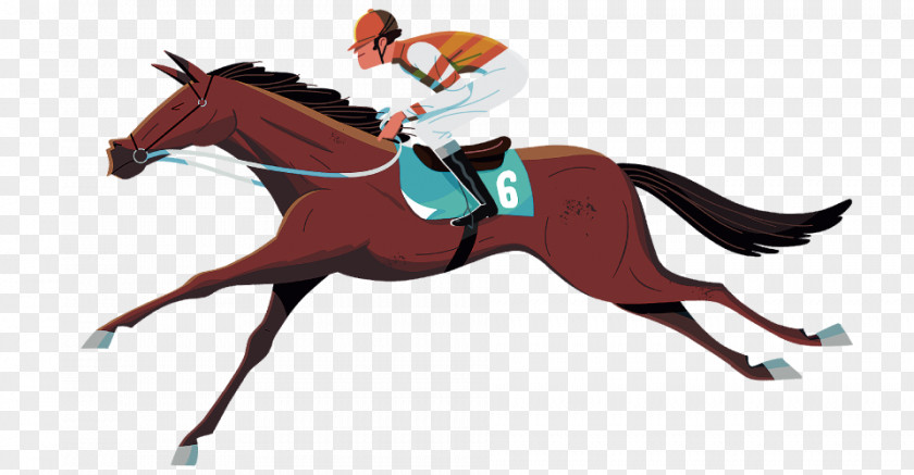 Mustang Pony English Riding Rein Stallion PNG