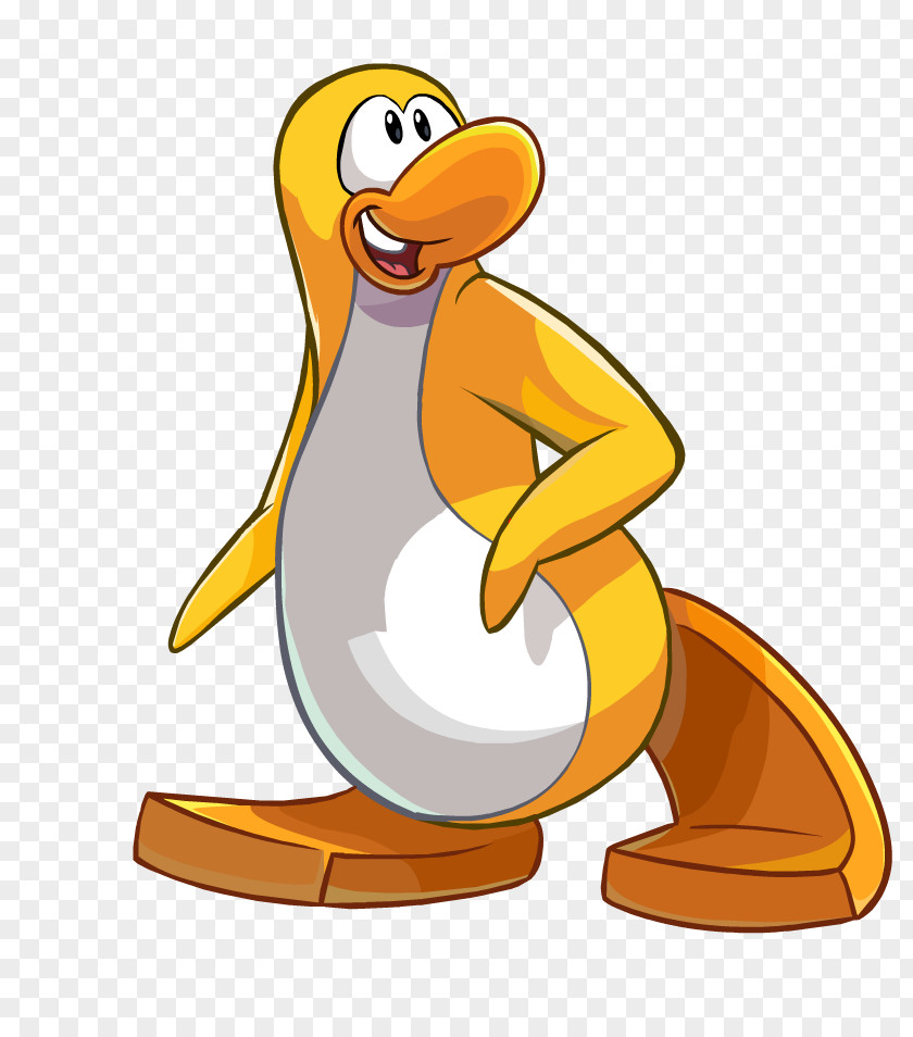 Penguin Club Island Wiki Yellow-eyed PNG