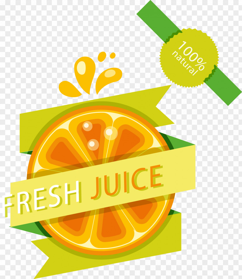 Vector Icons Painted Orange Juice Lemon PNG
