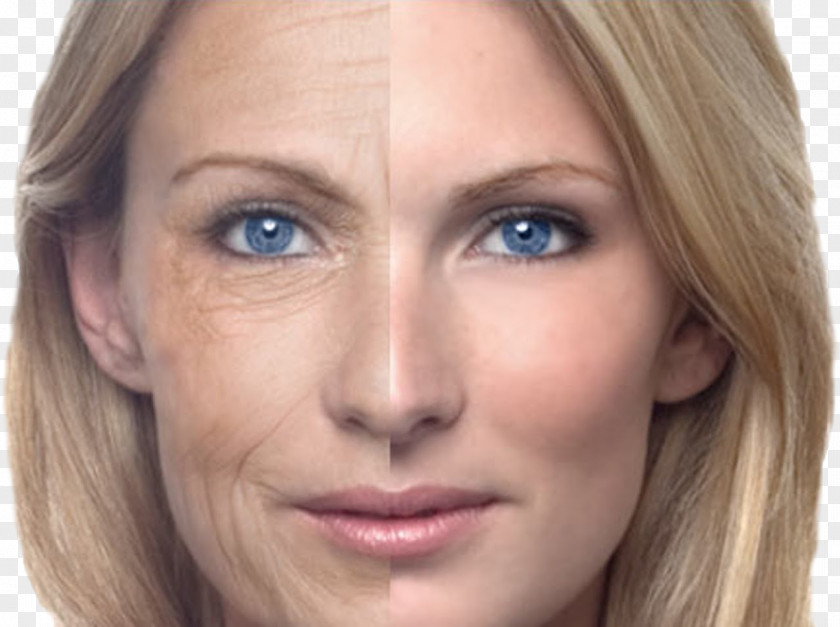 Aging Ageing Skin Old Age Anti-aging Cream Wrinkle PNG