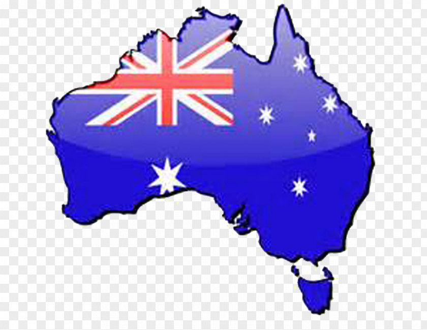 Australia Koala Clip Art PNG