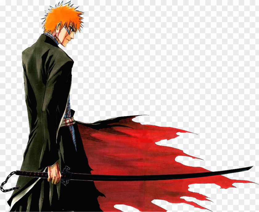 Ichigo Kurosaki Rukia Kuchiki Karakura Town Byakuya Yoruichi Shihouin PNG