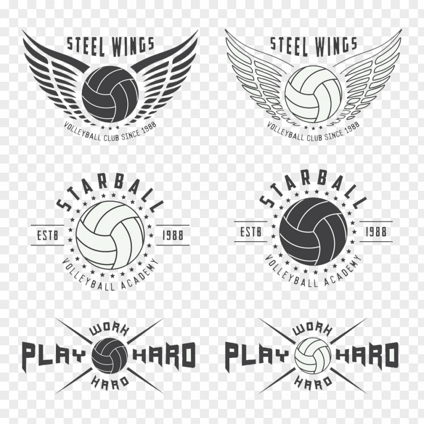 Wings Volleyball Logo Image Illustration PNG