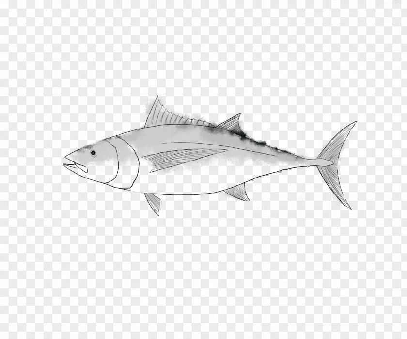 Albacore Yellowfin Tuna Fish Atlantic Bluefin Seafood PNG