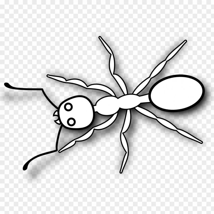 Ants Ant Black And White Coloring Book Clip Art PNG
