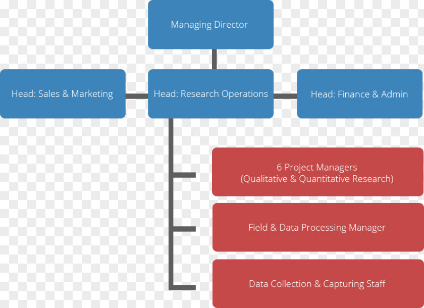 Business Organizational Chart Marketing Management PNG
