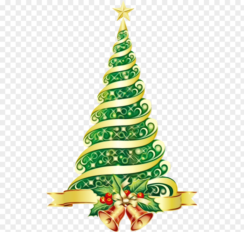 Conifer Pine Christmas Tree PNG