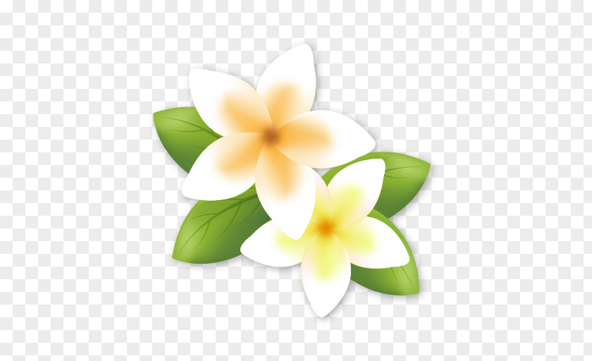 Peace Flower Frangipani PNG