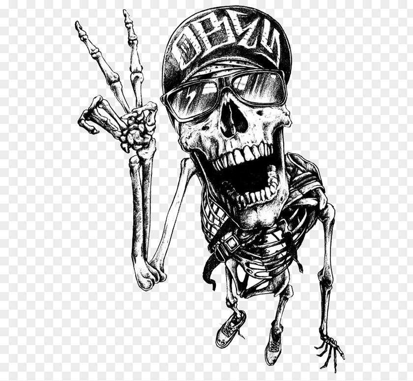 Skull Drawing Artist Skeleton PNG