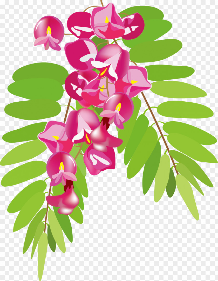 Vector Flowers PNG