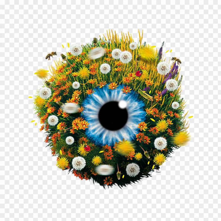 Eye Ball Dry Syndrome Cataract Visual Perception Amblyopia PNG