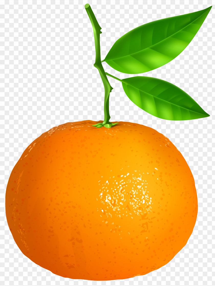 Orange Fruit Tangerine Mandarin Clementine Tangelo PNG