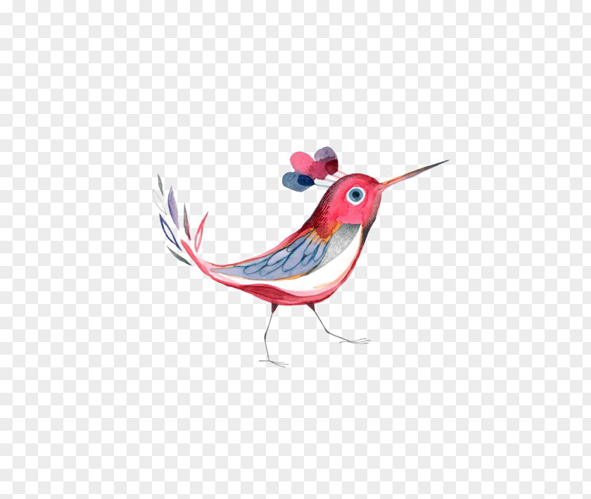 Hand-painted Birds Hummingbird Illustration PNG