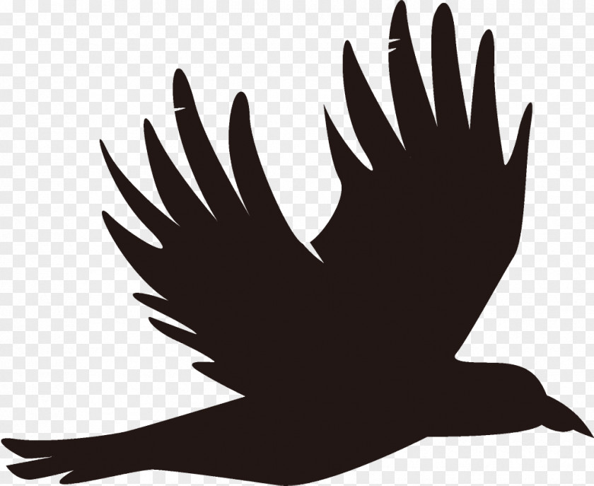 Logo Silhouette Raven Halloween Crow PNG