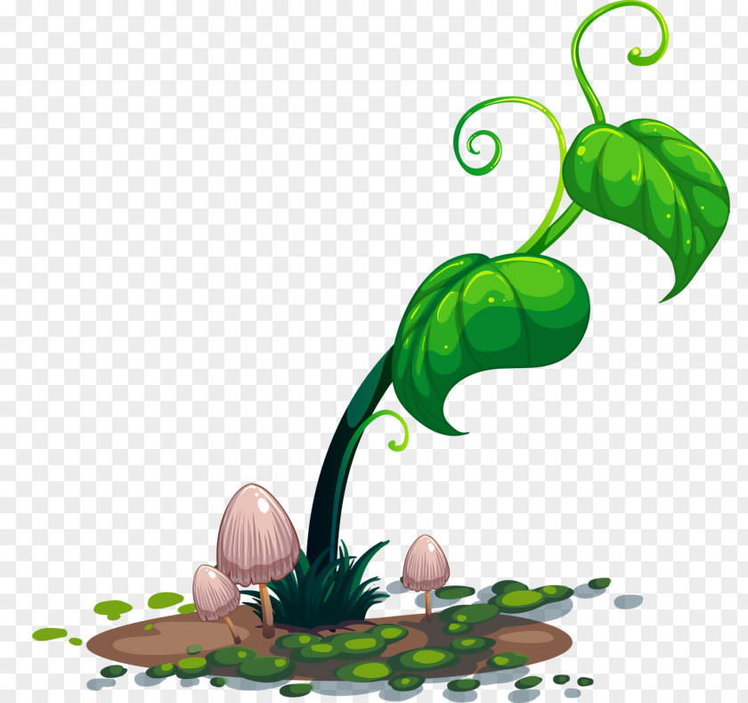 Outdoor Flower Clip Art Vector Graphics Stock Photography Illustration Royalty-free PNG