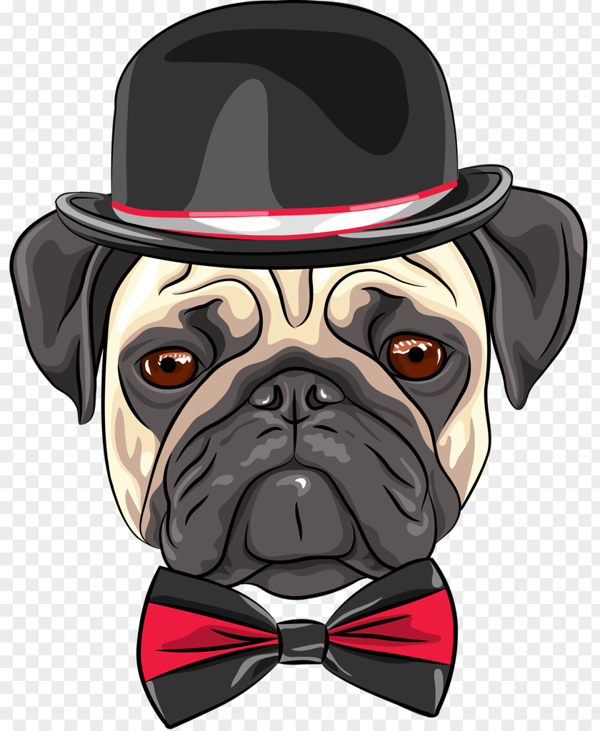 Puppy Pug Chihuahua Shar Pei Vector Graphics PNG