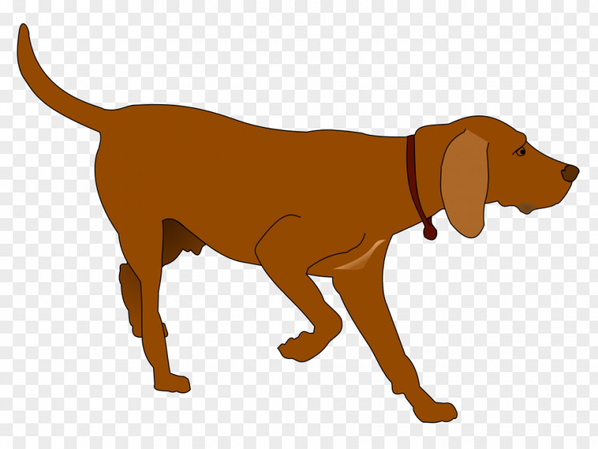 Beard Pennant Labrador Retriever German Shorthaired Pointer Hunting Dog Clip Art PNG