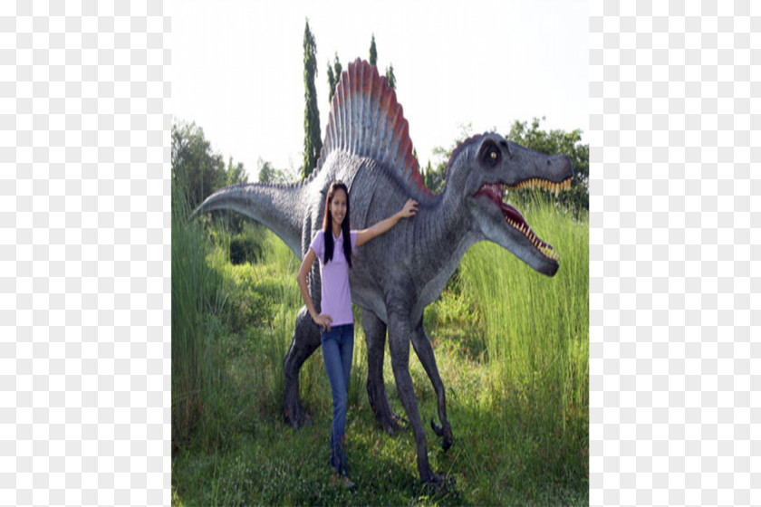 Dinosaur Velociraptor Stallion Mustang Animal PNG