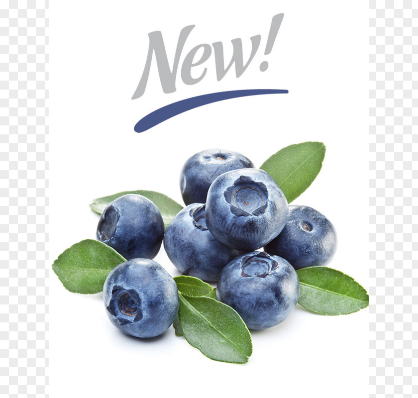 Blueberry Vaccinium Corymbosum Bilberry Flavor PNG