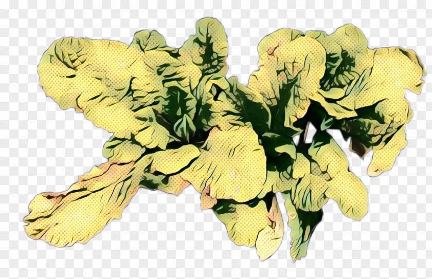 Bouquet Monkshood Flowers Background PNG
