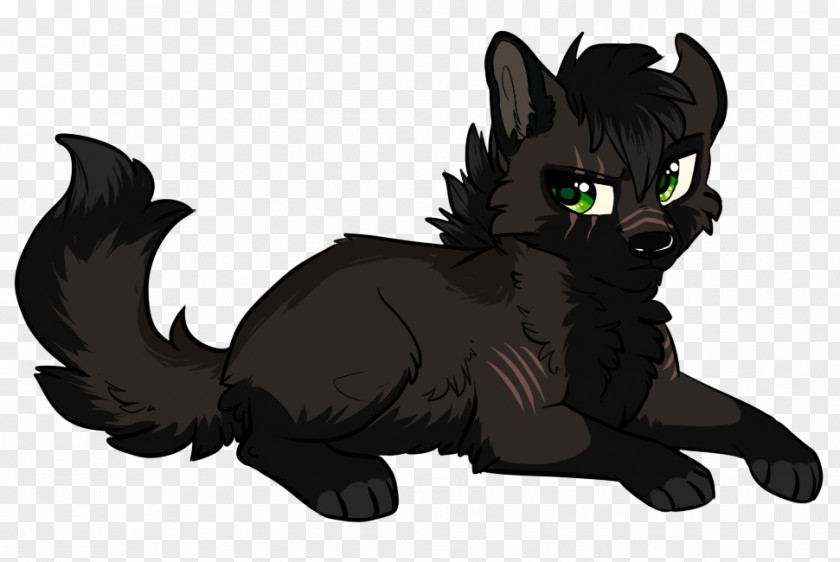 Cat Whiskers Black Dog Canidae PNG