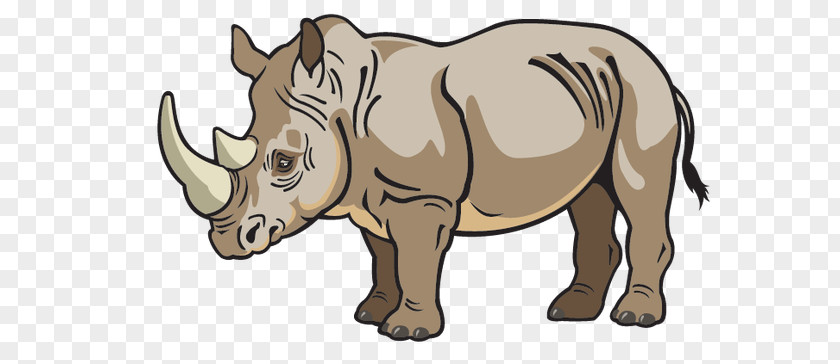 Child Full-Color Animal Illustrations Rhinoceros Clip Art PNG