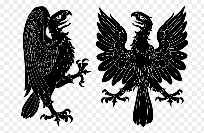 Eagle Negrete Coat Of Arms Chile Spain Escutcheon PNG