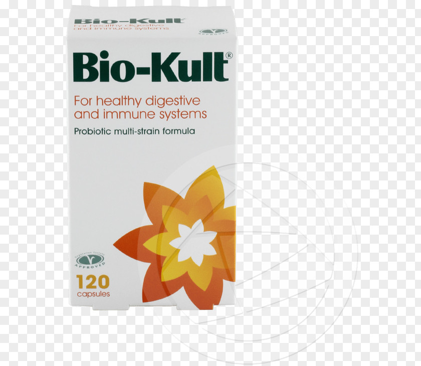 Health Probiotic Dietary Supplement Bacteria Capsule PNG