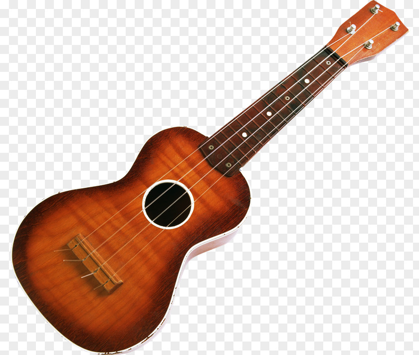 Hui Electric Guitar Acoustic String Instruments PNG
