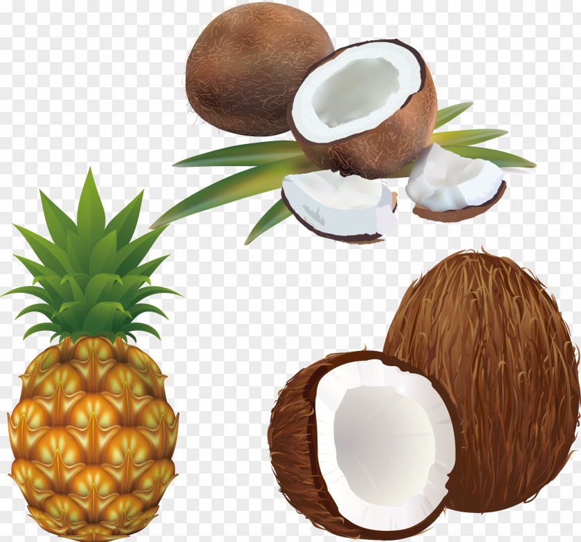 Pineapple Coconut Stock Photography Royalty-free Illustration PNG