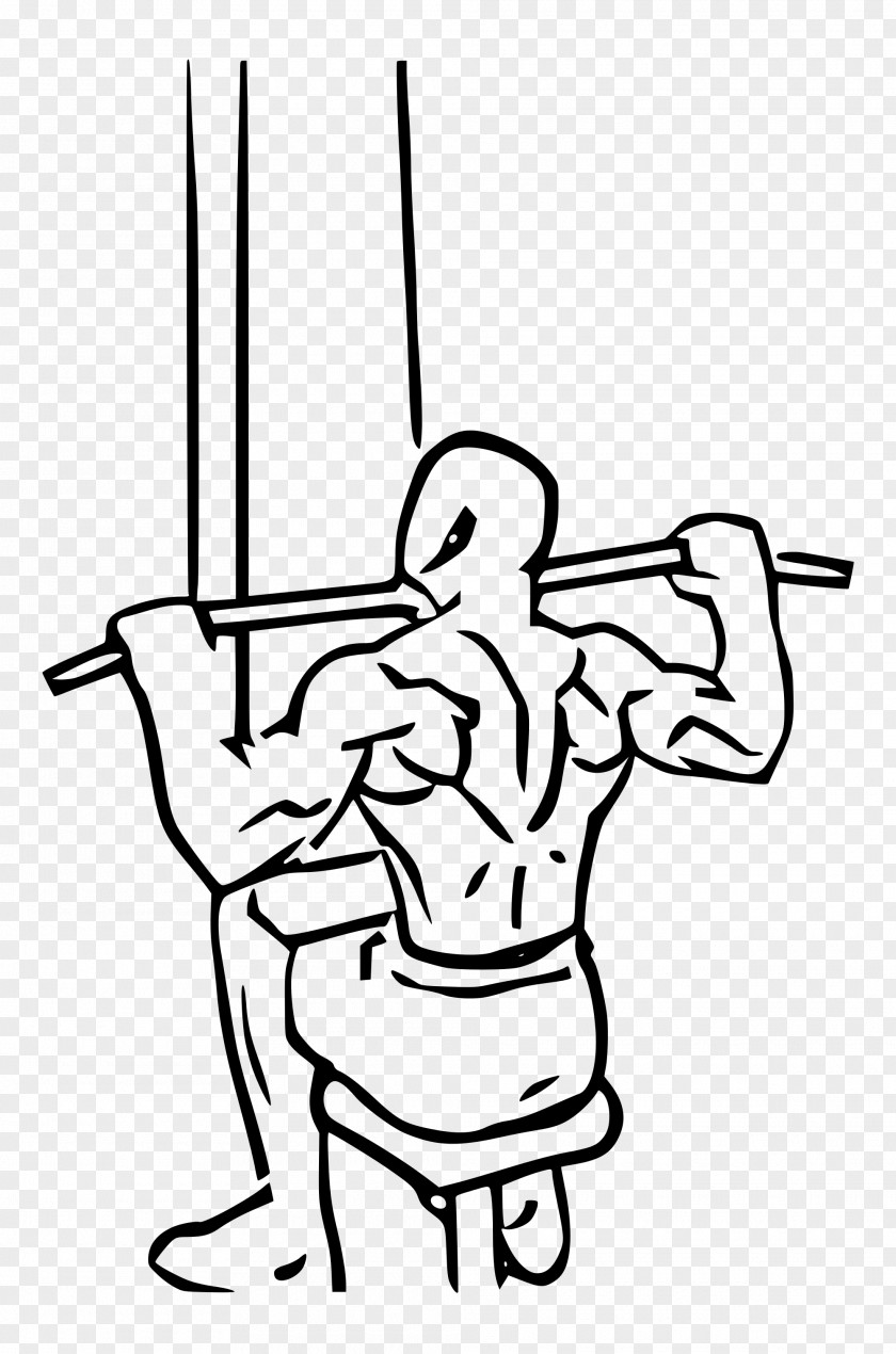 Pulldown Exercise Latissimus Dorsi Muscle Shoulder PNG
