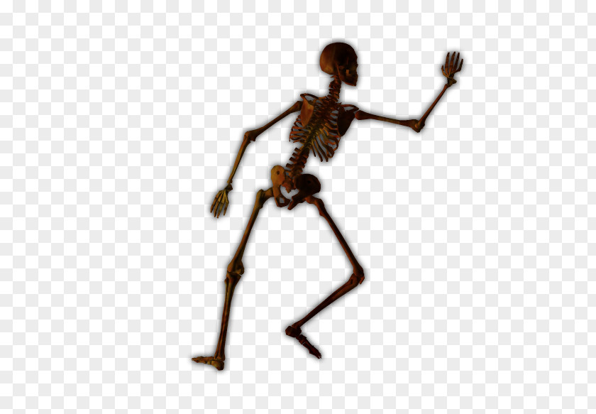Skeleton Human Joint Bone Figurine PNG