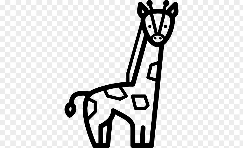 Vector Giraffe Mammal PNG