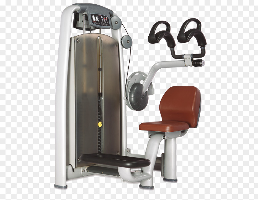 Bodybuilding Exercise Machine Abdomen Biceps Weightlifting PNG