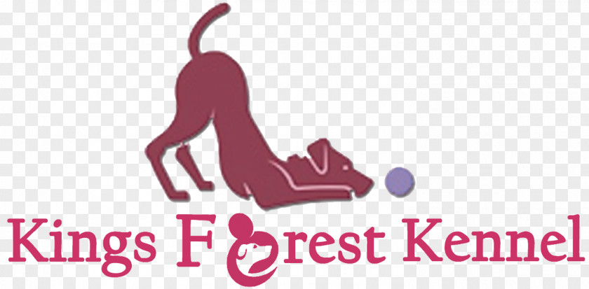 Cat Logo Border Terrier Pet Kennel PNG