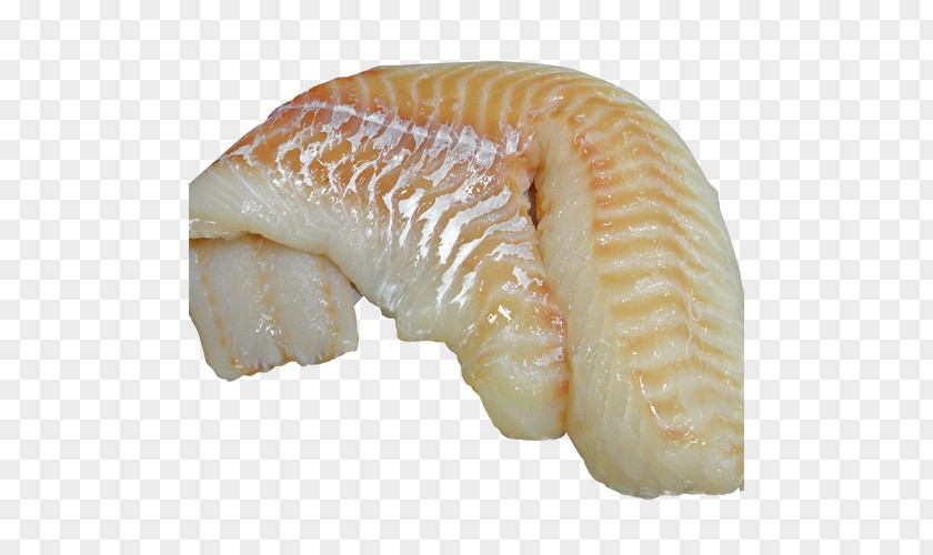 Fish Iridescent Shark Cod Meat Fillet PNG