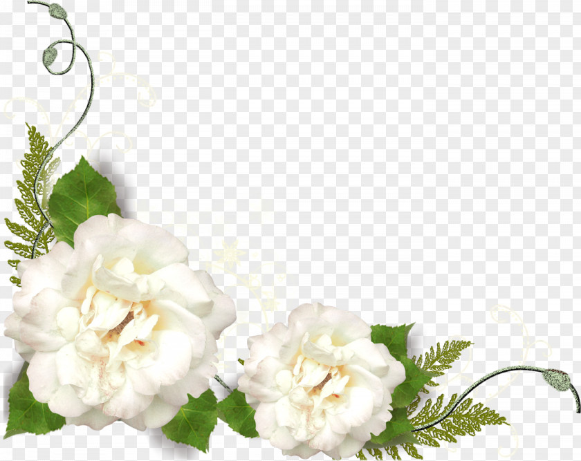 Flower Photography Picture Frames PNG